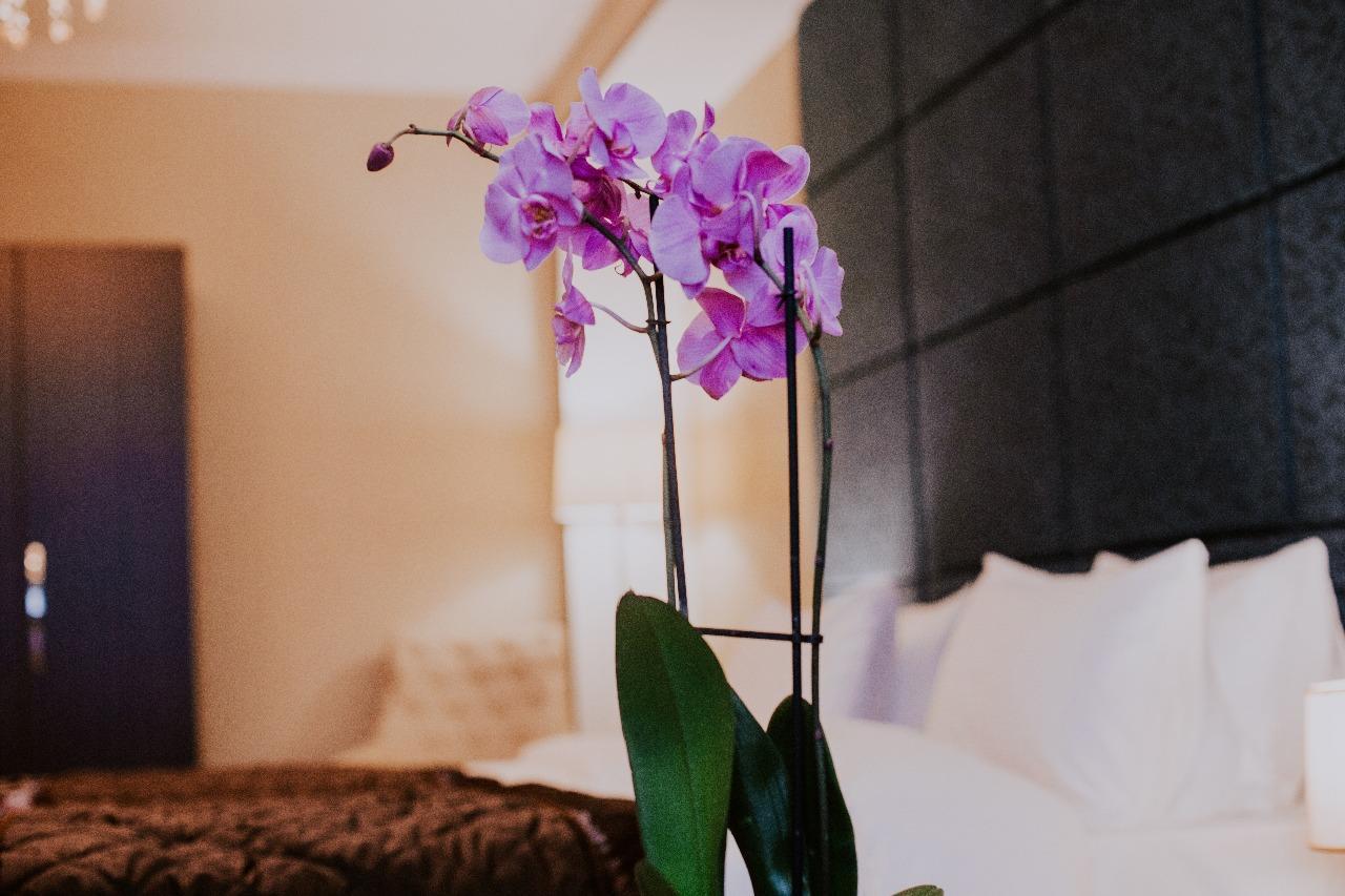 Viva Boutique Hotel Baku Eksteriør bilde